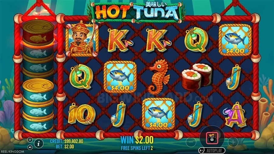 jili777win Effective Bankroll Management